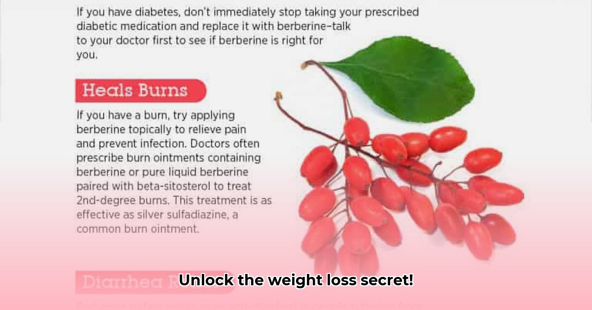 inositol-and-berberine-together-for-weight-loss